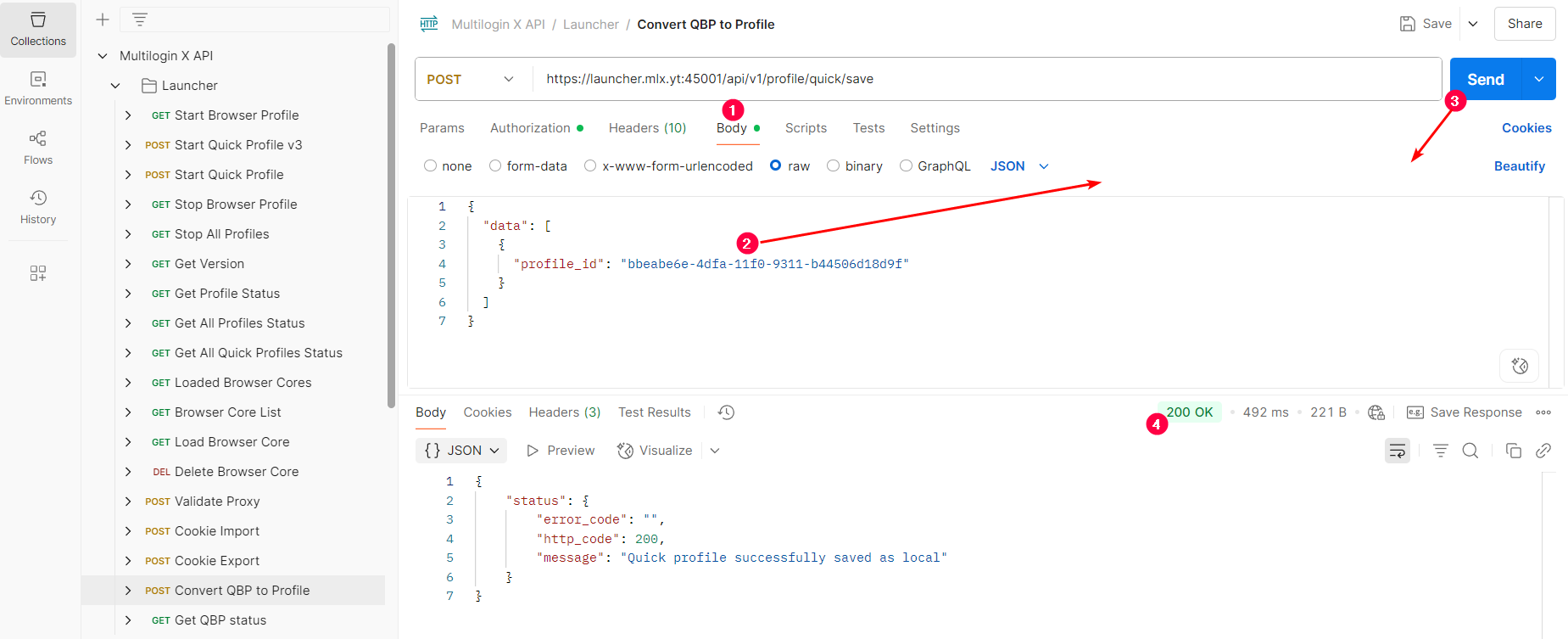 How to save a quick profile in local storage with Postman reference visual 4